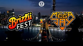 Dj Mega Jay Mix  Brooklyn  Brizzi Fest 2024 [upl. by Madi609]