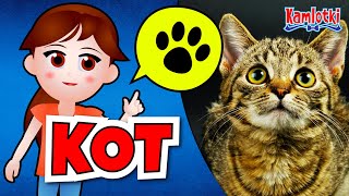 🐱 Kot – film edukacyjny dla dzieci 🐱 Rasy kotów historia kota domowego i kocie zmysły  Kamlotki [upl. by Hannavahs]