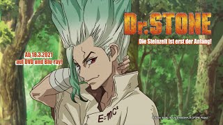 Dr Stone AnimeTrailer [upl. by Berget]