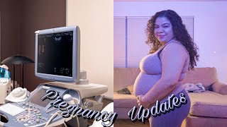 Vlog pregnancy update [upl. by Anahsirk502]