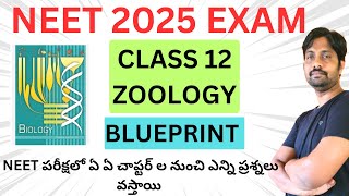 NEET 2025 NCERT Class12 Zoology Blueprint NEET exam 2025 Zoology Weightage [upl. by Bravin]