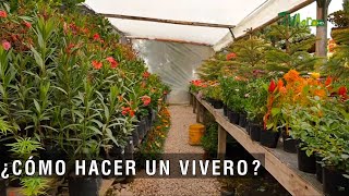 Cómo hacer un vivero  TvAgro por Juan Gonzalo Angel Restrepo [upl. by Assilim789]