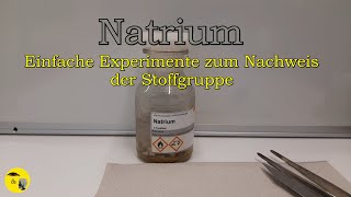 Natrium  zu welcher Stoffgruppe gehört es [upl. by Ynamreg36]