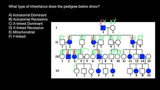 Inheritance Patterns Explained [upl. by Toft]