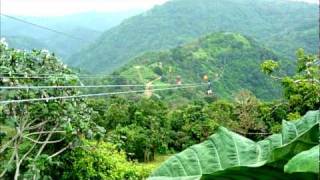 Saige and Alberto do the zipline in Puerto Rico [upl. by Paresh]