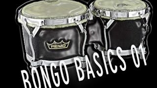 BEGINNERS GUIDE TO BONGOS  Pete Lockett  01 [upl. by Ttegdirb]