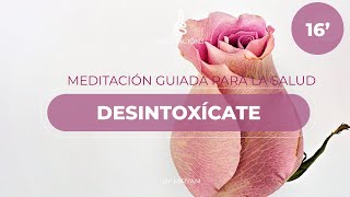 Meditación Guiada 🌺 Inhalar SALUD y Exhalar TOXICIDAD [upl. by Trelu]