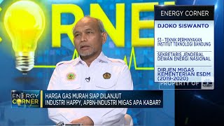 Alasan Harga Gas Murah Industri Tak Bisa Selamanya Diterapkan [upl. by Olraced]