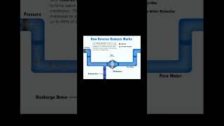 How Reverse Osmosis works osmosis watertreamtentsolutions shorts plumbingservices nbc ipc upc [upl. by Fira]