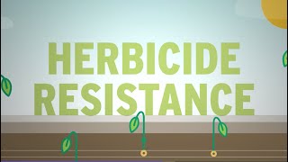 What is Herbicide Resistance [upl. by Barton]