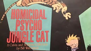 Funniest pages in Calvin and Hobbes Homicidal Psycho Jungle Cat [upl. by Zantos]