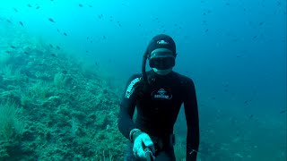 Plongée en apnée  Freediving [upl. by Coralyn93]