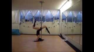 Emilys Pole Fitness Level 1 PDC Syllabus [upl. by Nevag]