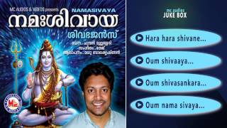 നമഃശിവായ  NAMASIVAYA  Hindu Devotional Songs Malayalam  Siva Songs [upl. by Irved]