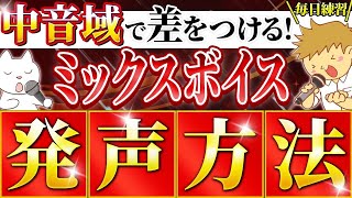 【ミックスボイスに繋がる！中音域！】歌の7割を占める音域の発声のポイント☺️ボイトレ 高い声 ボイストレーニング [upl. by Aciemaj]