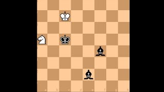 Mikhail Botvinnik vs Mikhail Tal  World Championship Rematch 1961 chess [upl. by Kennie878]