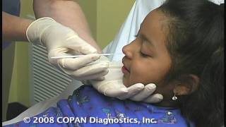 How to Collect Nasopharyngeal Samples for Flu Testing Using COPAN Flocked Swabs [upl. by Auric]