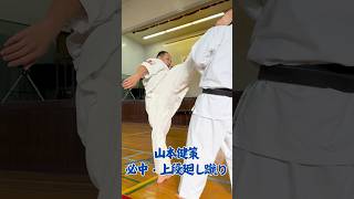 山本健策：必中・上段廻し蹴り karate 空手 kyokushin martialarts 極真空手 新極真会 sports shinkyokushin budo [upl. by Gulick889]