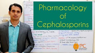 Pharmacology of Cephalosporins Beta Lactams  Cell Wall Synthesis Inhibitors [upl. by Aserret226]