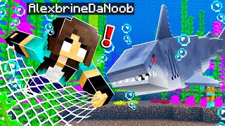 noob Girl finds RAREST pets in Minecraft Block Ness Monster 8 [upl. by Nerte]