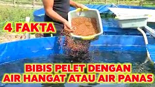 4 Fakta tentang BIBIS PAKAN dengan AIR HANGAT atau AIR PANAS❗Segera stop jika kalian masih melakukan [upl. by Vernier]