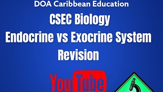 CSEC Biology Endocrine vs the Exocrine System [upl. by Ahsinrat]