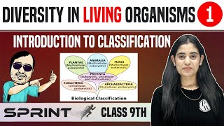 Diversity in Living Organisms 01  Introduction to Classification  Class 9  NCERT  Sprint [upl. by Nimesh]