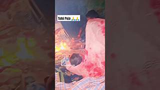 Tulsi Puja koshari chauth film uske bad short 🥀 subscribe 😎 like ✨ [upl. by Dieterich28]