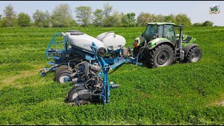 Planting Corn into a Cover Crop of Clover in Wisconsin [upl. by Selia]