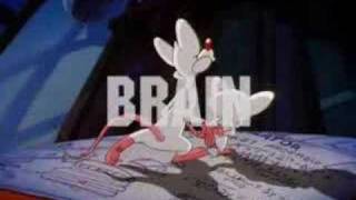 Pinky und der Brain Intro [upl. by Nomyar]