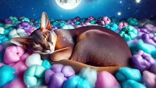 Relaxing Healing Melody for Quick Sleep lullaby sleep relaxing calm zen chill abyssiniancat [upl. by Etezzil845]