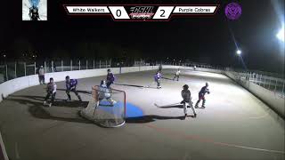 White Walkers Vs Purple Cobras  Scoreboard Side  1082024  No Sound [upl. by Erodeht]