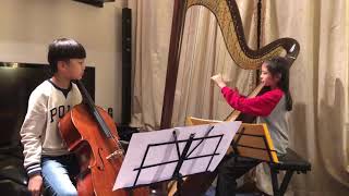 Deborah HensonConant’s Nightingale by Cello amp Harp [upl. by Weitman]