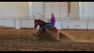 Derby Reining Horse For Sale  Shiner Voodoo Time [upl. by Ttelrats192]