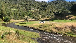 Fly Fishing NZ  Te Urewera [upl. by Lister]