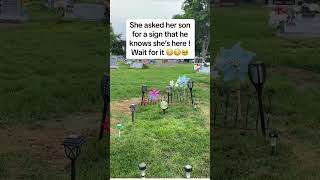 Sign From The Grave A Mother Receives A Message From Her Deceased Son [upl. by Aicire749]