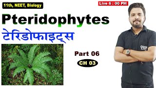 Part 06 Pteridophytes Chap 03 Biology [upl. by Ahtennek]