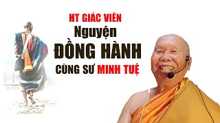 Vì sao Sư GIÁC VIÊN khen ngợi sư MINH TUỆ và nguyện sẽ đi cùng bộ hành [upl. by Eicirtap]