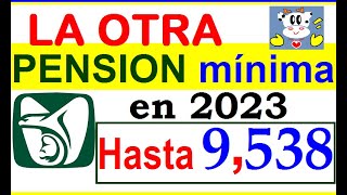 HASTA  9538 PENSION MINIMA GARANTIZADA EN EL IMSS EN 2023 ¿PARA QUIENES AQUI TODOS LOS DETALLES [upl. by Bascomb]