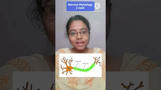 Nervous system  Saltatory Conduction in Tamil  2 mark [upl. by Aroon71]