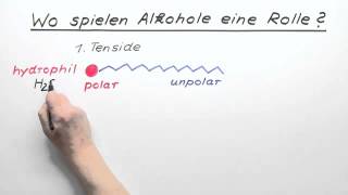 Wo spielen Alkohole eine Rolle  Chemie  Organische Chemie [upl. by Croom3]