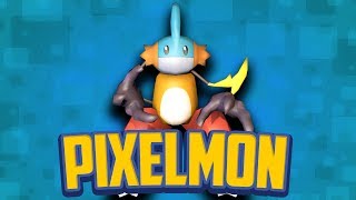 Pixelmon Model Mashup Round 3  Five Pokemon Challenge TinyTurtle vs Lachlan [upl. by Eidorb853]