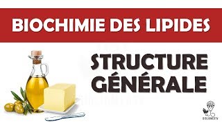 Biochimie  Structure générale des Lipides [upl. by Kimmi]