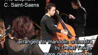 The Elephant C SaintSaens Double Bass Mandolin Orchestra [upl. by Silverstein426]