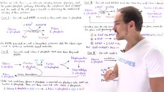 Pentose Phosphate Pathway EVERYTHING YOU NEED TO KNOW BIOCHEMISTRY MCAT [upl. by Hera]