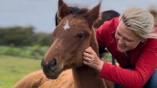 Good Morning Bloodstock Live Episode Two  At home with the Grays [upl. by Attej]