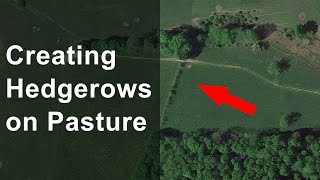 Creating Hedgerows on Pasture [upl. by Argent460]