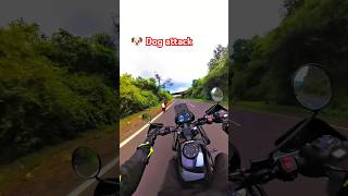 Dog Attack In Himalayan Ride 🐶 thessrider motovlog biker roadrage dogattack attack [upl. by Bar653]