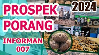 BERITA PORANG • PROSPEK PORANG 2024 [upl. by Boynton]