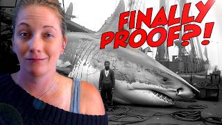 Megalodon Fact VS Fiction Marine Biologist Shows the Evidence [upl. by Assiren]